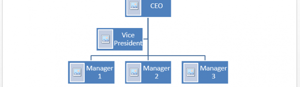Organogram Example Microsoft Word Templates organogram-example-microsoft-word-templates